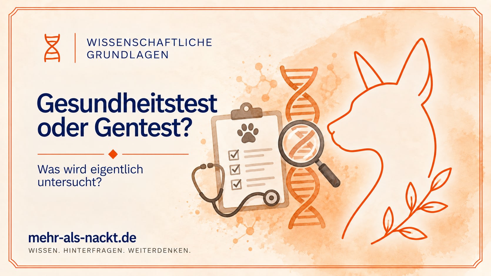 Gesundheitstest oder Gentest – Checkliste mit Stethoskop und DNA-Doppelhelix mit Lupe symbolisieren den Unterschied zwischen klinischer Untersuchung und genetischem Test