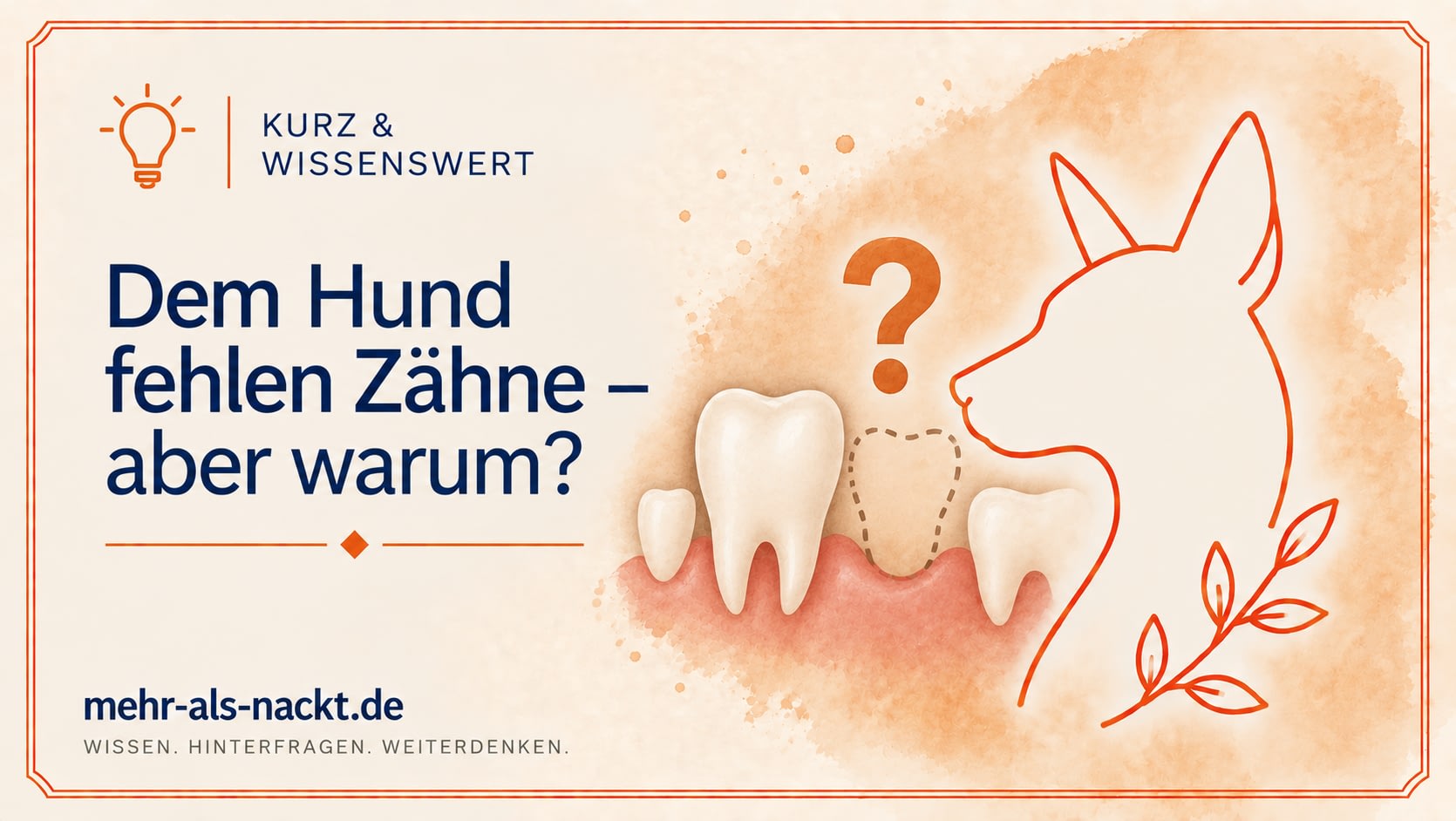 Illustration zum Beitrag „Dem Hund fehlen Zähne - aber warum?“ über Zahnagenesie, Zahnverlust und Zahnentwicklung bei FOXI3-Nackthunden.
