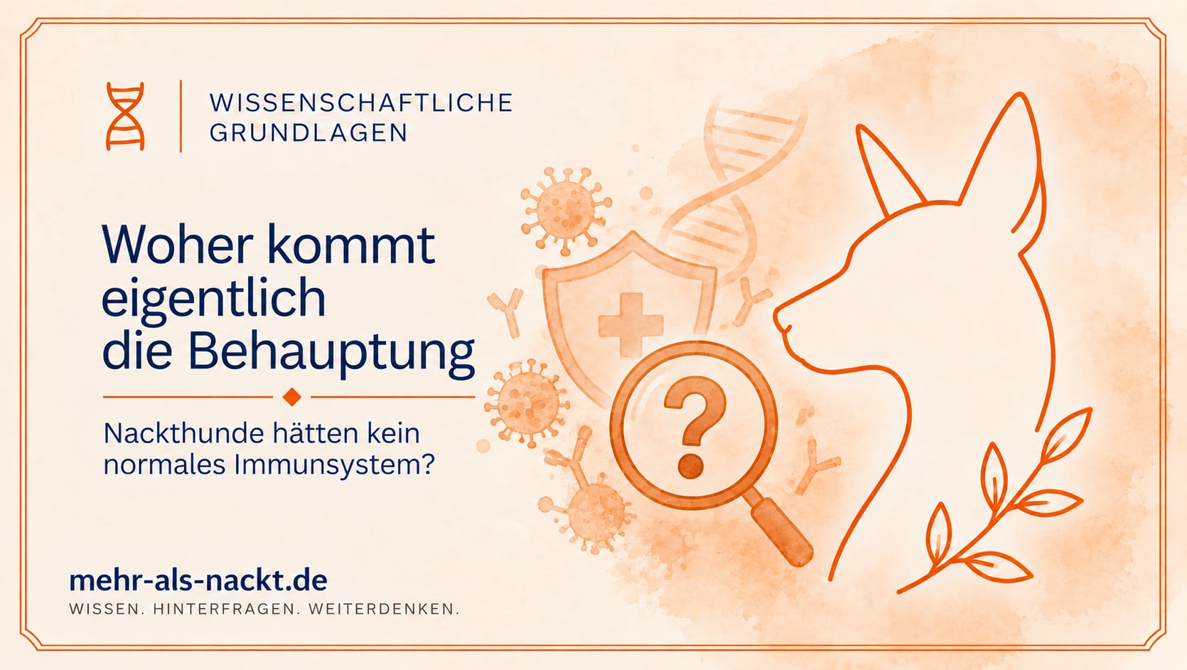 Illustration zur Behauptung, Nackthunde hätten kein normales Immunsystem