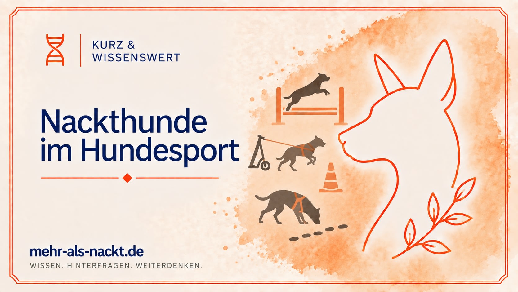 Beitragsgrafik „Nackthunde im Hundesport“ mit springendem Hund über einer Hürde