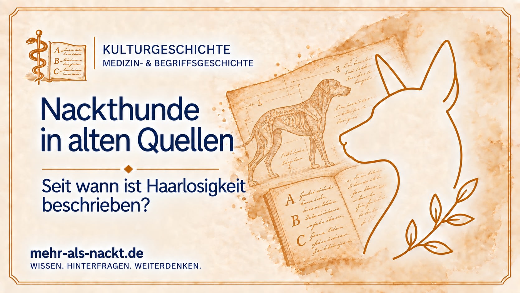 Haarloser Hund – Thema des Beitrags zur Geschichte der Nackthunde