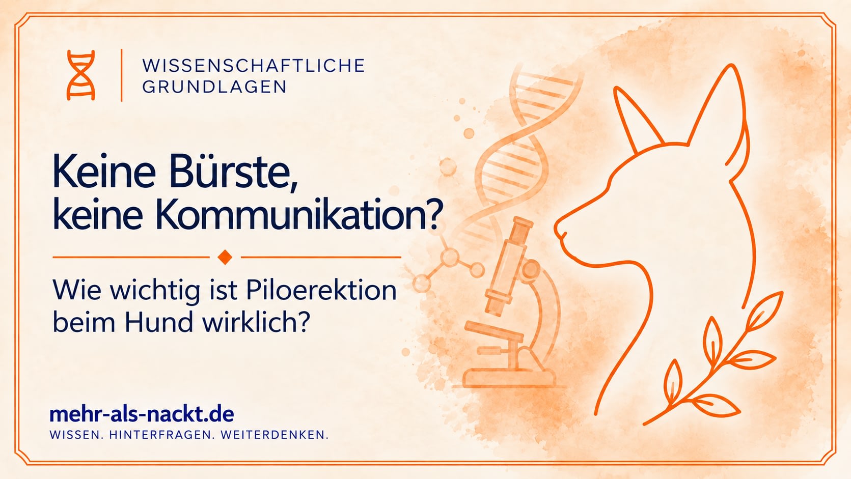 Keine Bürste, keine Kommunikation? – Wie wichtig ist Piloerektion beim Hund wirklich?