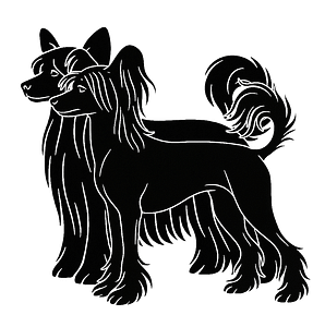Silhouette eines Chinese Crested Dog