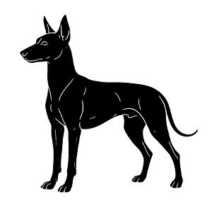 Silhouette eines Xoloitzcuintle